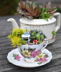Cách làm khu vườn mini trong tách trà cho góc nhà thêm xinh