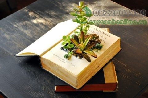 Sách Thay thế chậu trồng cây