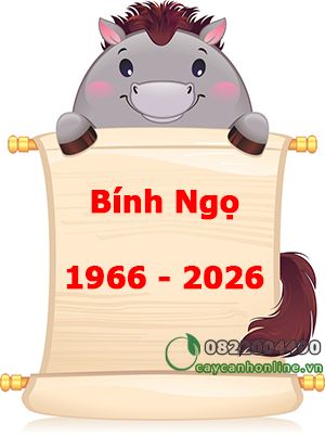 Cây phong thủy hợp tuổi Bính Ngọ sinh năm 1966 – 2026