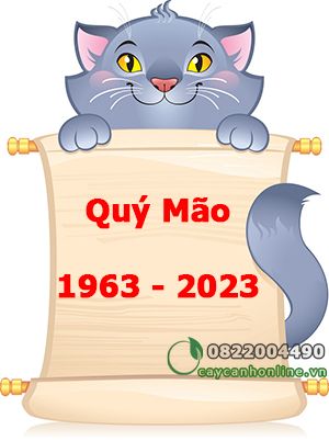 Cây phong thủy tuổi Quý Mão sinh năm 1963 – 2023