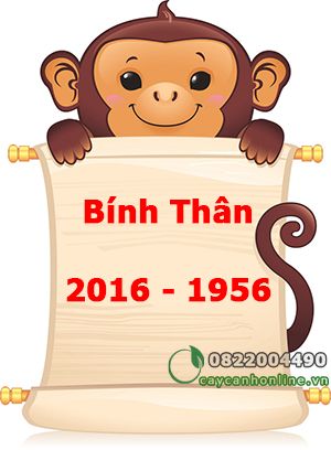 Tuổi Bính Thân sinh năm 1956 – 2016 chọn cây hợp tuổi hợp mệnh