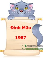 Cây hợp tuổi Đinh Mão sinh năm 1987