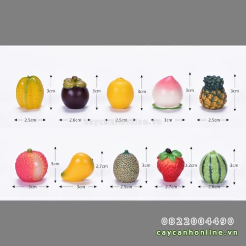 Mô hình các loại quả mini