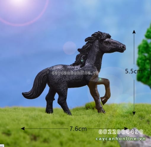 Ngựa ô ngựa đen